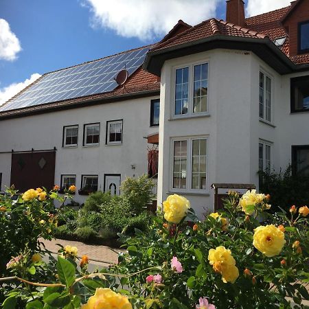 Gallowayhof Am Edersee Vöhl Esterno foto